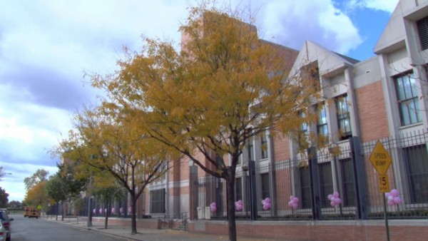 PS 15 Institute for Environmental Learning